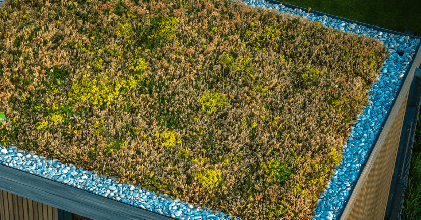 Pose toit terrasse végétal avignon Pose toit terrasse végétal avignon